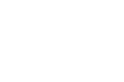Falcon & Associates
