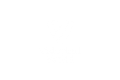 Vollyball